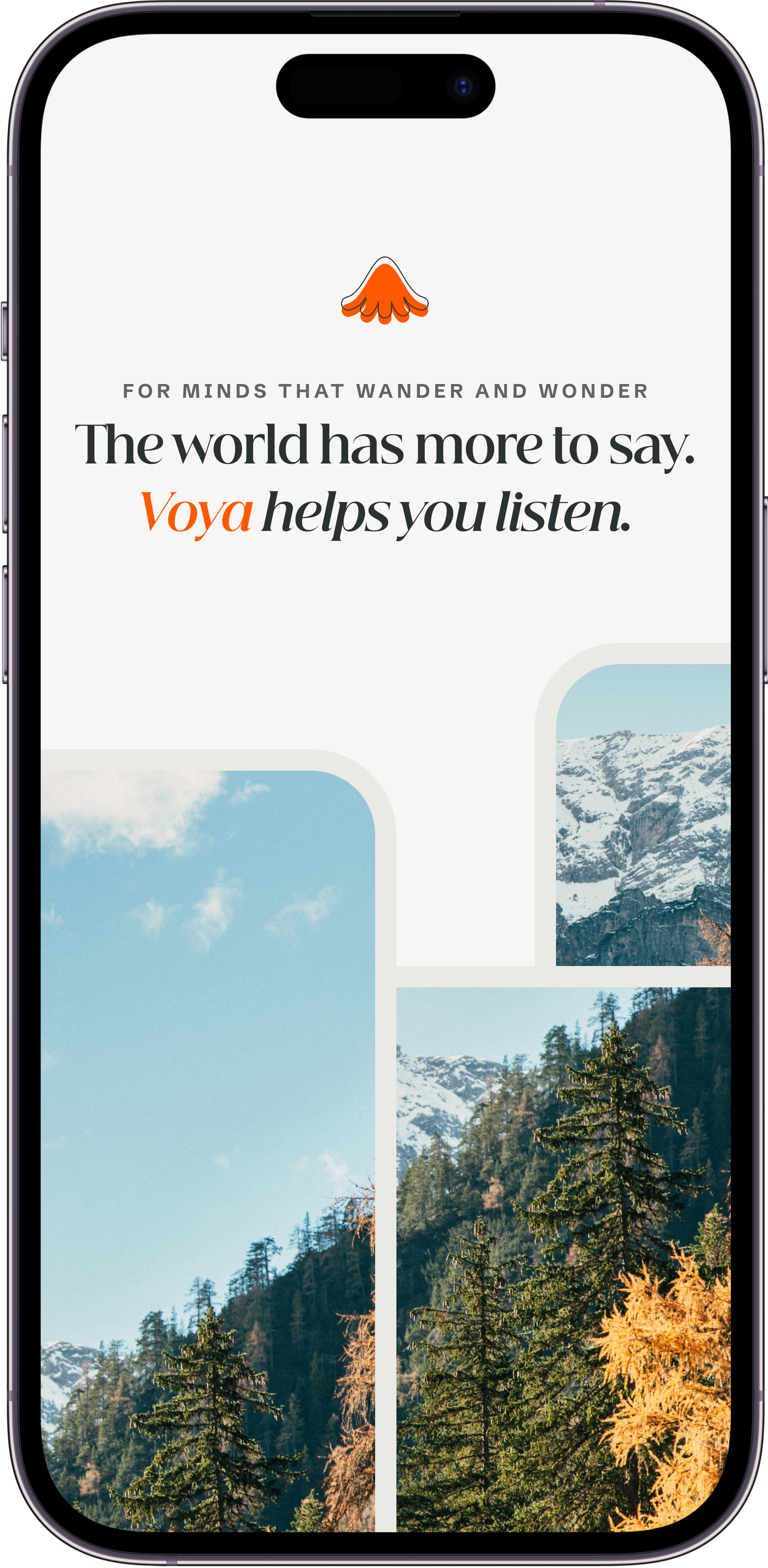 Preview of the Voya mobile experience